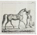 Horses, horsemanship, the horse trade, horse carriages etc., with 3 early lithographed plates