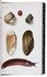 Molluscs from Agen and Aquitaine, presentation copy