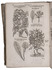 Enlarged Plantin issue of a pioneering classic of botany, with about 307 excellent woodcuts